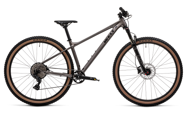 Велосипед Welt Rambler 1.0 29 (2025)